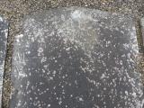 image of grave number 57898
